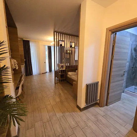 Designer Luxury - Pool & Alezzi Apartament *